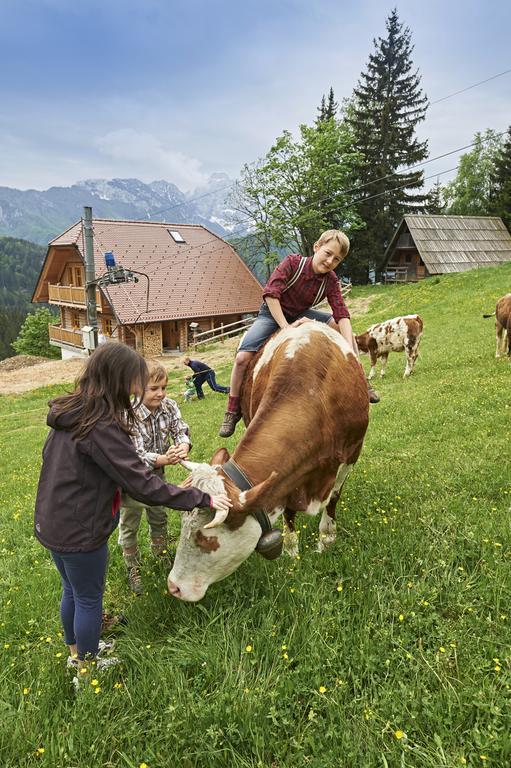 Holiday Chalet "Alpine Dreams" With Private Wellness Solčava الغرفة الصورة