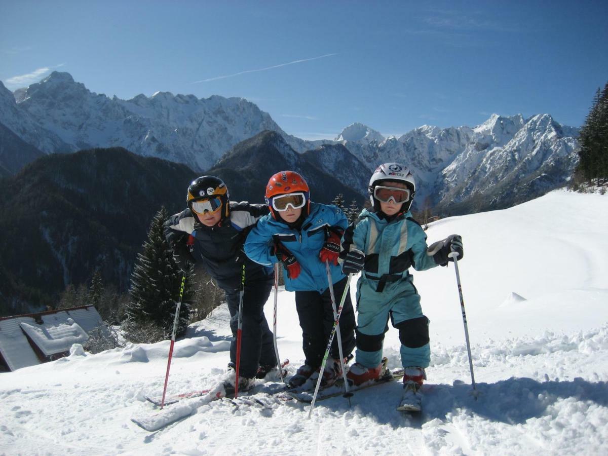 Holiday Chalet "Alpine Dreams" With Private Wellness Solčava المظهر الخارجي الصورة